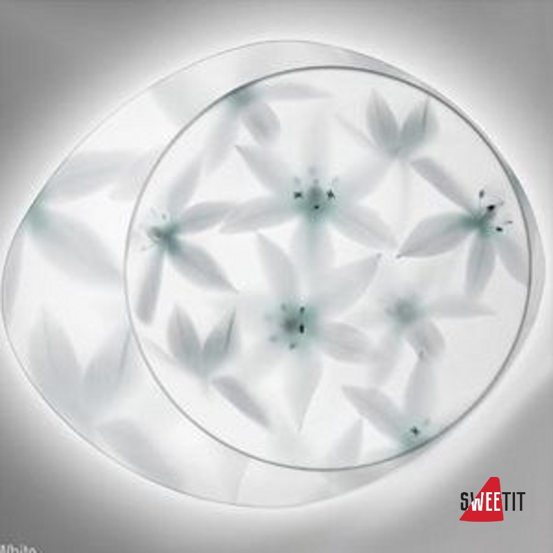 Светильник настенный FOSCARINI WAGASHI PICCOLA FLUORESC. BIANCO