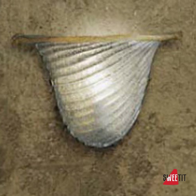 Бра Vintage RE AP 25 CRIST GRAN/FOGLIA ORO