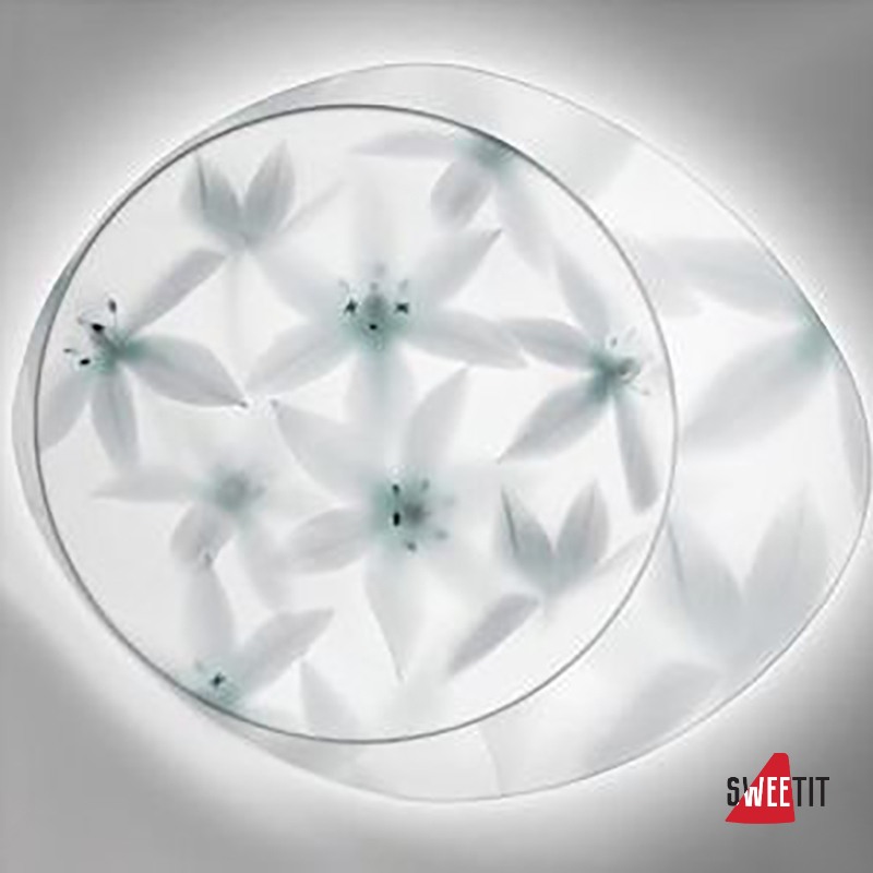 Светильник настенный FOSCARINI WAGASHI GRANDE FLUORESC. BIANCO