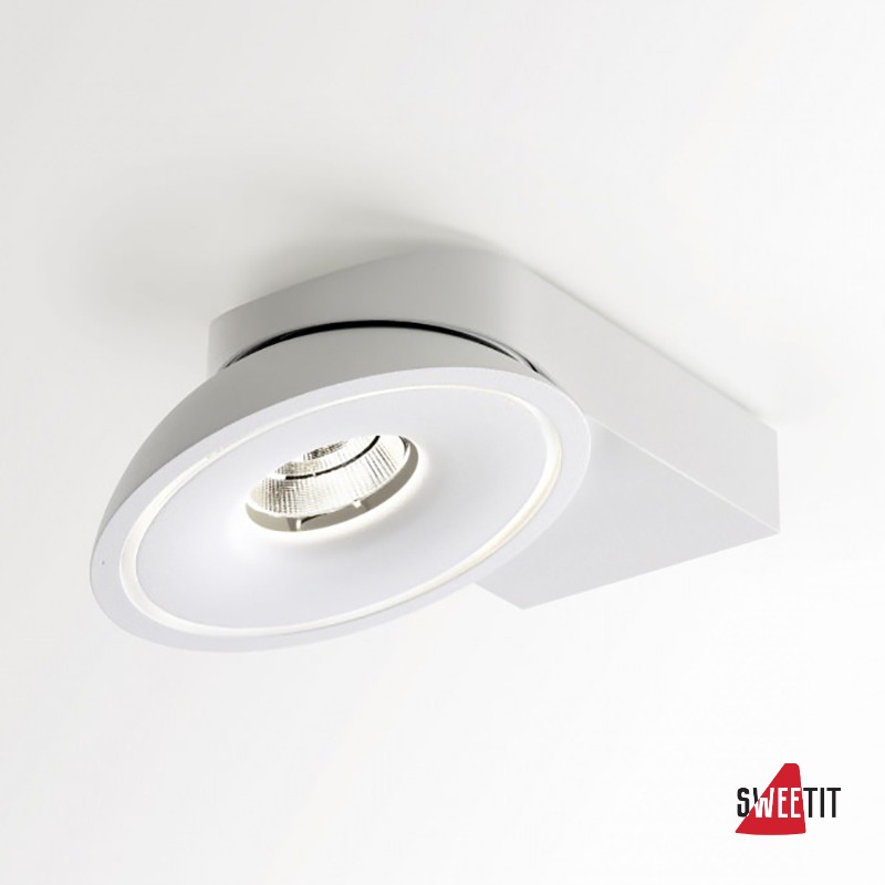 Светодиодный настенно-потолочный светильник Delta Light TWEETER 206 31 12123 W