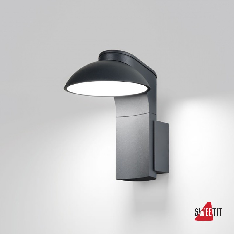 Светодиодный настенный уличный светильник Delta Light TWEETER 206 40 12 N