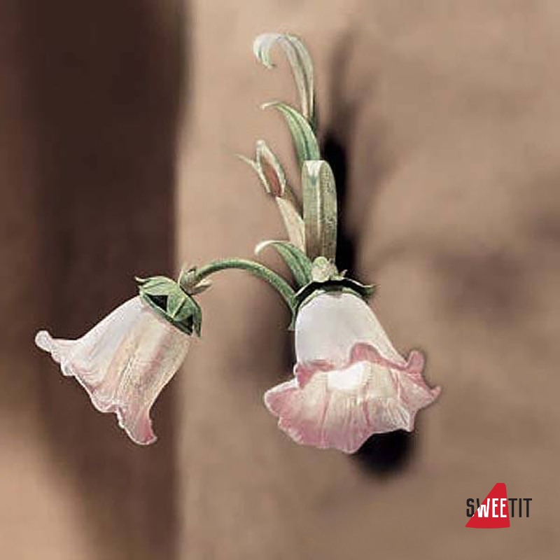 Бра Renzo Del Ventisette "Floreale" A 13461/2 DEC. 019 + ORO