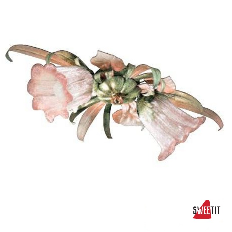 Потолочный светильник Renzo Del Ventisette "Floreale" PL 13464/2 DEC. 048