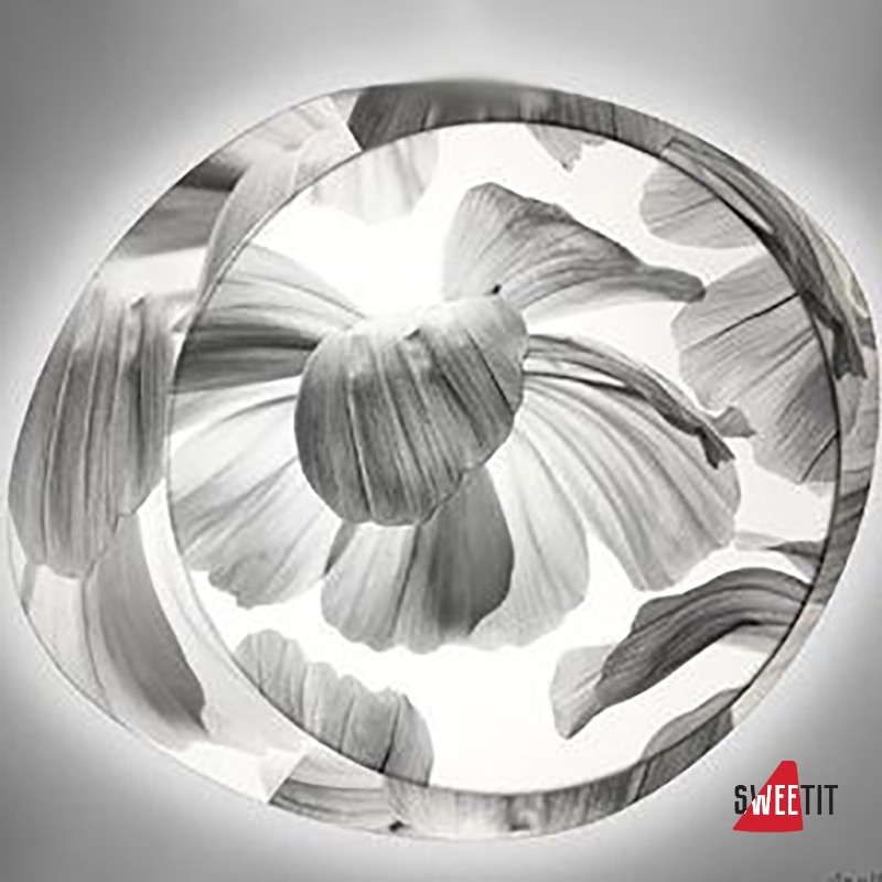 Светильник потолочный FOSCARINI WAGASHI GRANDE INCAND. NERO