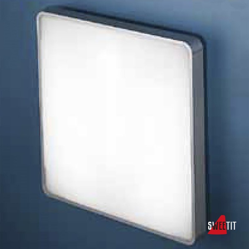Светильник настенно-потолочный Linea Light Al-Book 6949