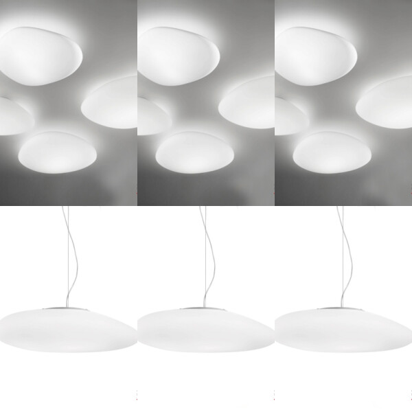 Neochic R