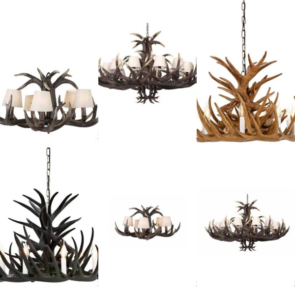 HORN