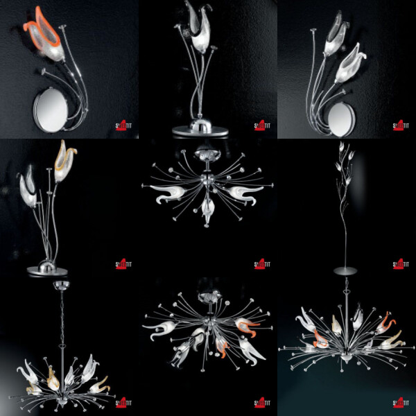 Tulipe