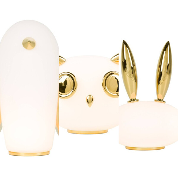 Pet lights