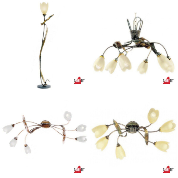 FLEUR DE MAI